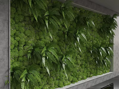 Green Living Wall Design With Lush Moss And Fresh Fern Plants 3d model