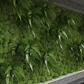 Green Living Wall Design With Lush Moss And Fresh Fern Plants