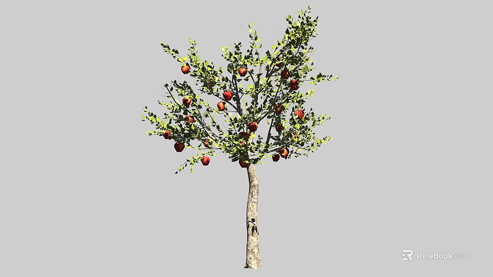Healthy Arbor With Red Fruits And Green Leaves On Brown Trunk 3d model 