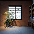 Beautiful Bonsai Plant with Green White Leaves by Window in Bright Room