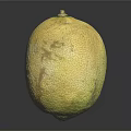 Single Fresh Ripe Cantaloupe Fruit With Yellow Textured Surface And Brown Spots On Black Background