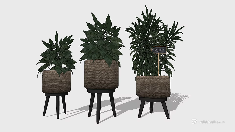 Bonsai Potted Plants In Wicker Baskets On Wooden Stands With Green Leaves 3d model 