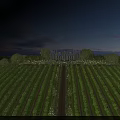 Expansive Vineyard With Neat Grapevines And Grand Mansion Under Blue Sky