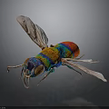 Detailed Vibrant Rainbow Colored Insect With Transparent Wings On Dark Background