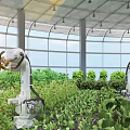 Cartoon Scene of Robotic Arms Growing Vegetables in Greenhouse With Plants and Glass Roof