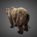 Realistic Brown Bear 3D Model With Detailed Fur Texture In Standing Pose On Gray Background