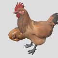 Standing Rooster With Red Comb And Roasted Chicken With Bone And Rosemary
