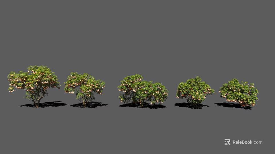 Different Varieties of Green Leaf Shrubs with White Blooms in a Row 3d model 