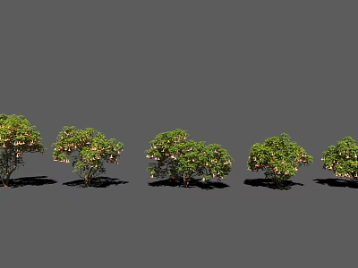 Different Varieties of Green Leaf Shrubs with White Blooms in a Row 3d model