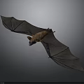 Large Winged Brown Bat Flying with Extended Dark Wings in Mid Air 3d model