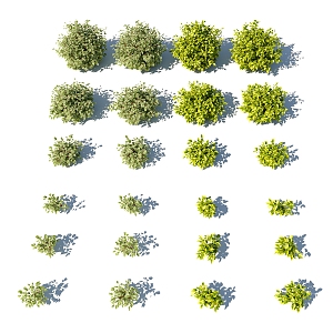 Modern shrubs 3d model