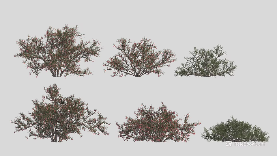 Various Types of Ornamental Shrubs for Garden Landscaping and Outdoor Design 3d model 