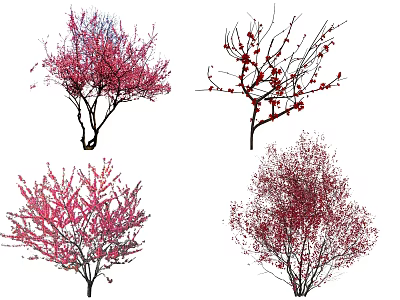 Blooming Trees With Pink And Red Flowers And Various Branch Structures 3d model
