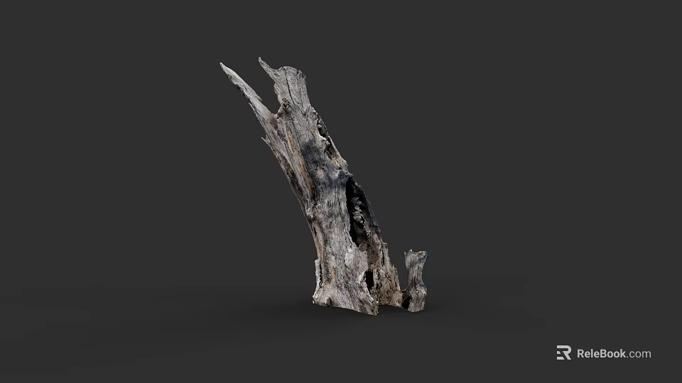 Artistic Plant Drawing Featuring Weathered Dead Wood Branch Against Black Background 3d model 