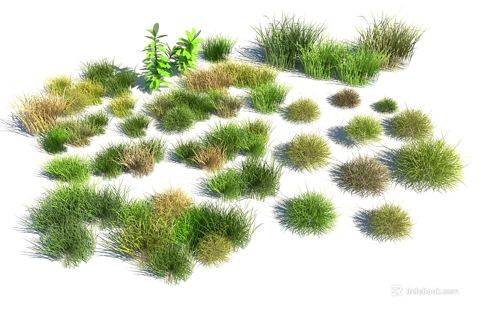 Various Types of Grasses and Small Plants with Green Yellow and Brown Color Variations 3d model 