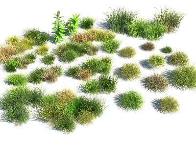 Various Types of Grasses and Small Plants with Green Yellow and Brown Color Variations 3d model