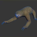 Game Or Movie Character Sloth 3D Model With Brown Fur Extended Claws In Gray Background