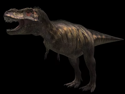 Tyrannosaurus Rex Reptile With Open Mouth Sharp Teeth And Striped Skin 3d model