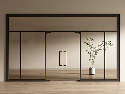 Modern Double Glass Doors Design With Black Frame And Potted Plant On Wooden Floor 3d model