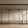 Modern Double Glass Doors Design With Black Frame And Potted Plant On Wooden Floor