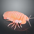 Pink Pill Bug Shaped Creative Household Decorative Item With Unique Design For Home Use