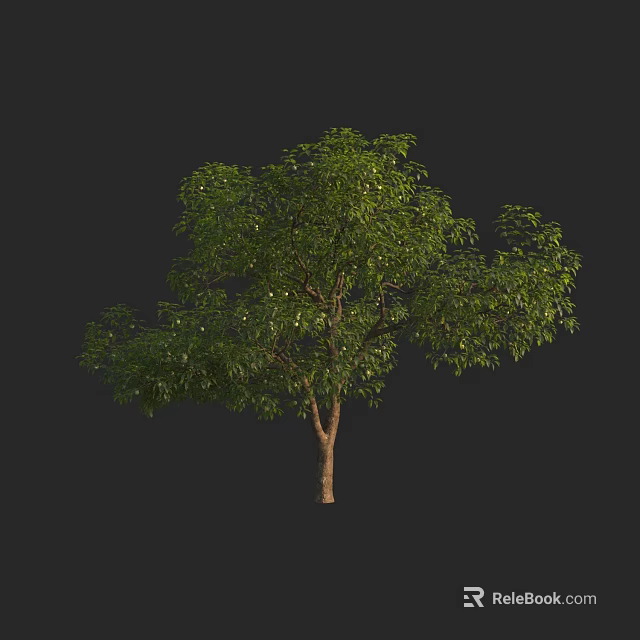 Lush Green Arbor With Brown Trunk And Full Canopy Isolated On Dark Background 3d model 