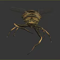 Yellow And Black Striped Fly With Transparent Wings Slender Legs On Dark Background