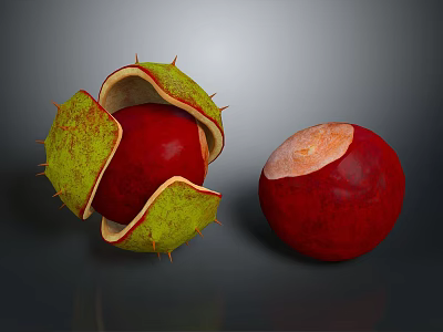 Split Chestnut Shell Revealing Red Nut And Whole Chestnut On Dark Surface 3d model