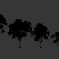Desert Tree Tropical Tree Tropical Tree Preset 3d model