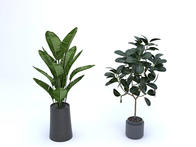 Modern Indoor Decorative Plant Set With Two Green Plants In Gray Pots 3d model