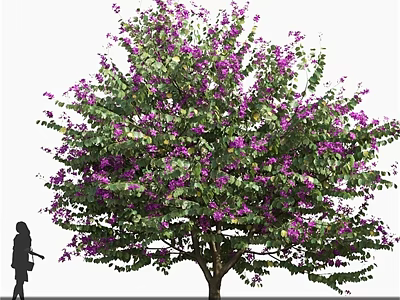 Tall Arbor With Lush Purple Flowers And Green Leaves In Landscape 3d model