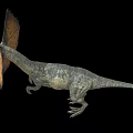 Double Crest Dragon Double Crowned Dragon Dinosaur Reptile Ancient Biology Meat-eating Dinosaur Jurassic Low Face Number Low Model Simple Model Game Movie and TV Level Super Realistic 3d model