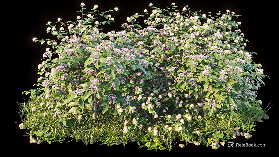Lush Green Leaf Shrub With White And Purple Flowers In Bushy Natural Growth 3d model 