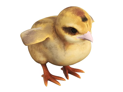 Adorable Baby Chick With Yellow Fluffy Feathers Brown Head Spots And Orange Feet 3d model