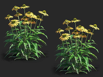 Vibrant Yellow Flowers With Lush Green Leaves In Two Clusters 3d model
