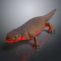 Brown Salamander With Red Underbelly Textured Skin And Long Tail