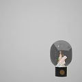 Transparent Glass Globe Stove With Burning Flames Wood Logs Black Base And Gold Knob