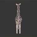 Red and White Spotted Giraffe 3D Model with Gray Background and Ground Reflection