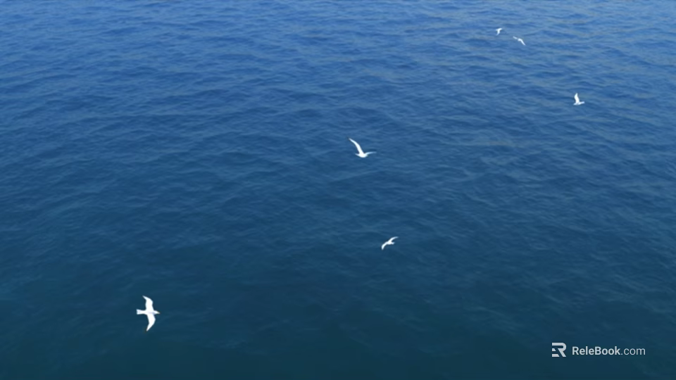 White Seagulls Soaring Gracefully Over The Vast Blue Ocean Waters 3d model
