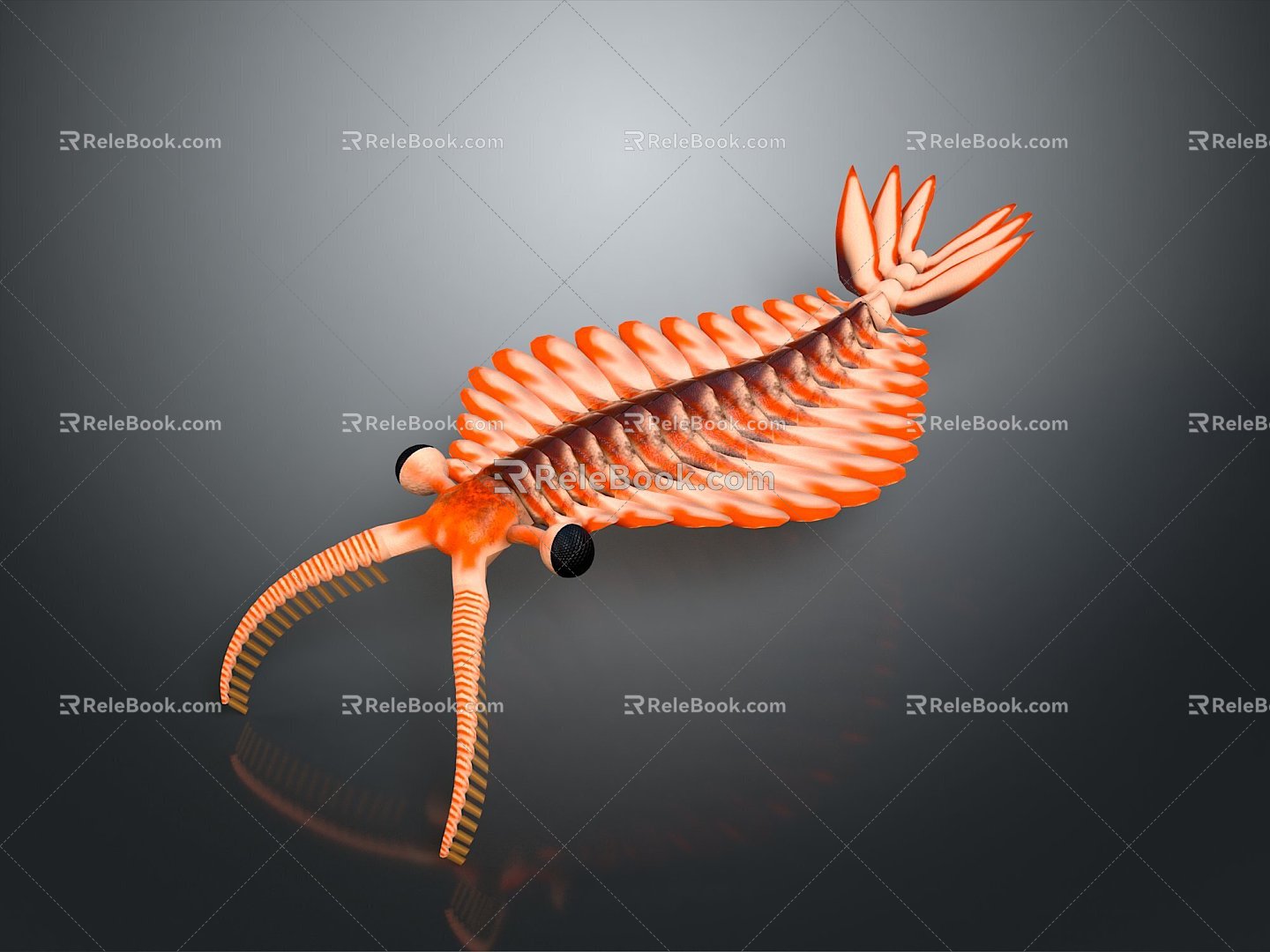 Trilobes, ancient creatures, ancient creatures, realistic 3d model