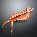 Orange Shrimp Shaped Daily Living Kitchen Tool For Seafood Shell Peeling