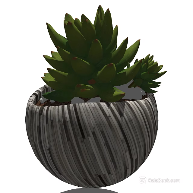 Green Succulent Bonsai Potted Plant in Striped Gray Textured Ceramic Pot 3d model 