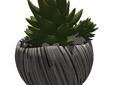 Green Succulent Bonsai Potted Plant in Striped Gray Textured Ceramic Pot 3d model