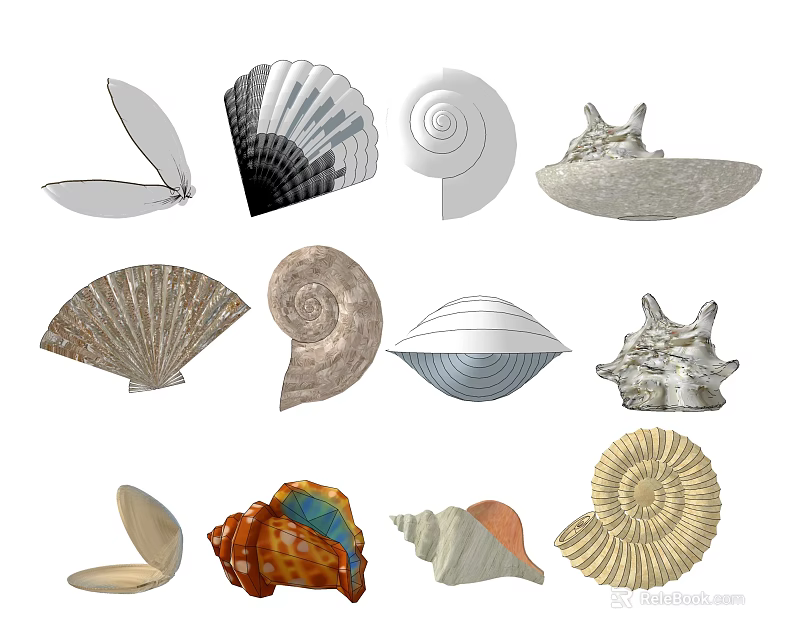 Unique Colorful Shell Shaped Decorative Ornament Set With Various Natural Styles For Home 3d model 
