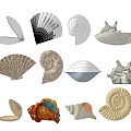 Unique Colorful Shell Shaped Decorative Ornament Set With Various Natural Styles For Home