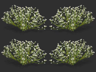 Decorative White Flowers with Lush Green Foliage Ideal for Garden and Landscape Decoration 3d model