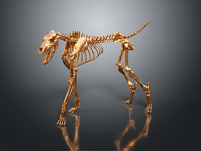 Golden Animal Skeleton in Standing Pose Against Dark Background With Reflective Surface 3d model