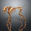 Golden Animal Skeleton in Standing Pose Against Dark Background With Reflective Surface