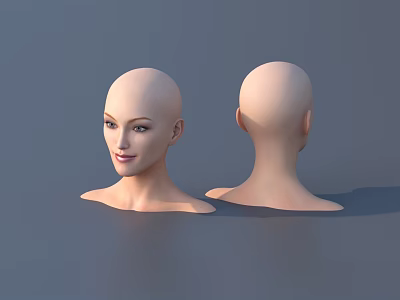 Two 3D Female Bald Head Models With Front And Back Views On Gray Background 3d model