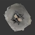 Detailed Spider Model With Red And Black Abdomen On Textured White Surface